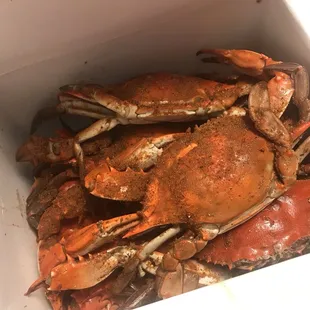 $1 Crabs!!