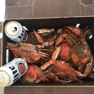 male mediums (beer not included)