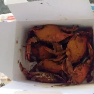Amazing!!! Some of the best crabs i ever had. They were fresh and sweet had it with extra seasoning.
