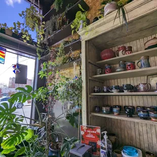 a shelf of pots and plants