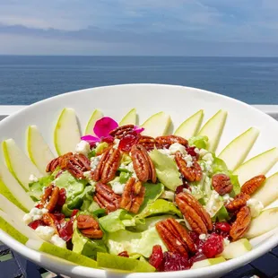 PEAR SALAD Butter lettuce, fresh sliced pears, candied pecans, dried cranberries, gorgonzola crumbles &amp; house made balsamic dressing
