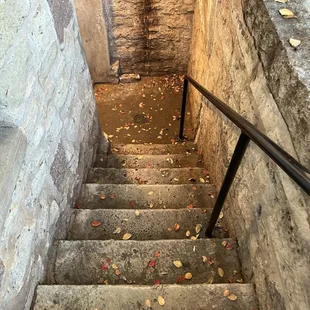 a person walking up a set of stairs