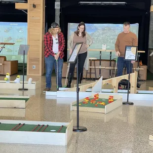 Micro golf