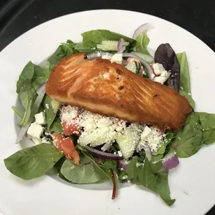 Grilled Salmon on Spring Mix