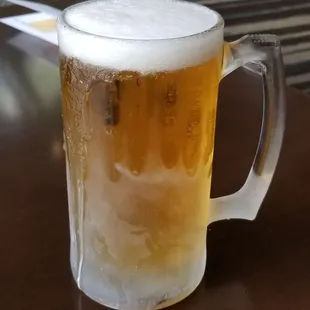 20oz Carlsberg