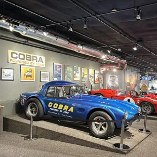 The Cobra Experience