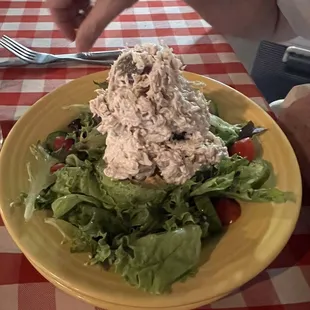 Chicken salad stuffed avocado