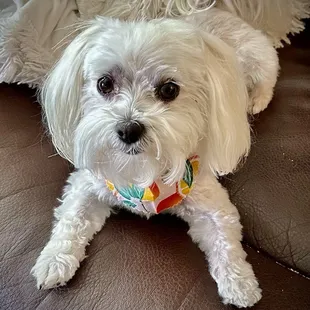 Bella Madeline Ruth O&apos;Neil Thompson