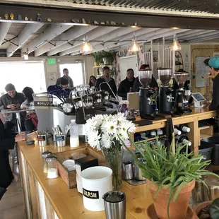 Perfect combination: lovely people, happy plants, gems and trinkets on the ibeams and damn good coffee. :)