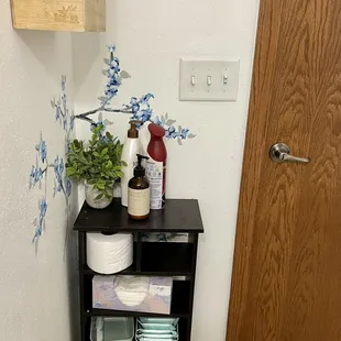 Bathroom has lady supplies - yay!