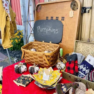 fall pop up September 2024