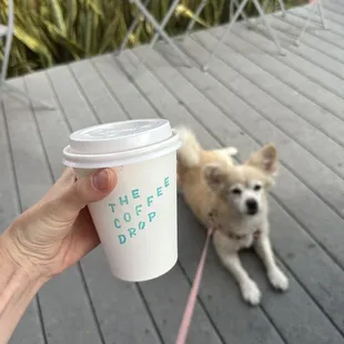 a person holding a cup of coffee and a dog on a leash