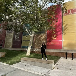 Ana A.