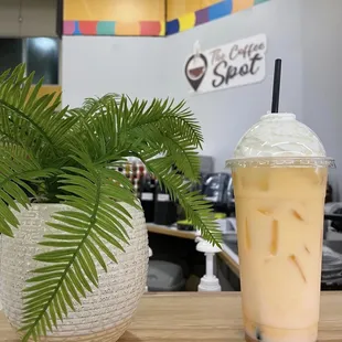 a cup of iced coffee and a plant