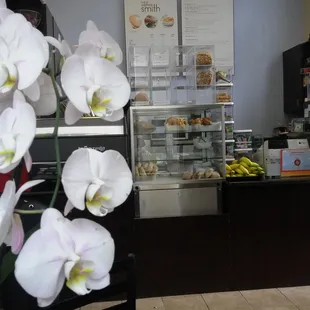 A really nice coffee stop to visit and quiet.. I love it .. and Jang is really nice person or. . ask for her .. you will love it