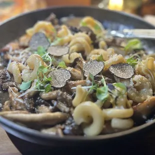 Beef cheeks with pasta and shaved  truffles