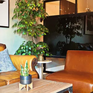 Interiors