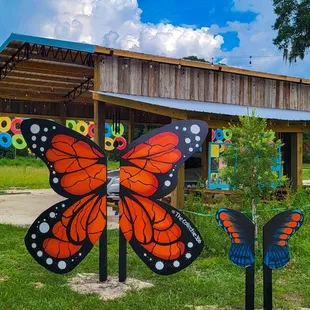 a colorful butterfly