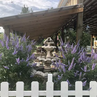 Beautiful garden features