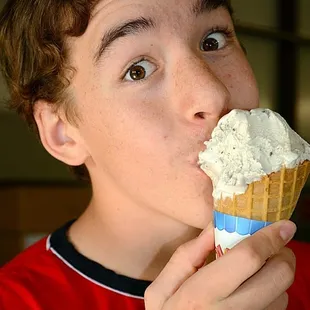 Ice Cream THE Fun Food