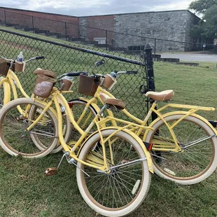 Bike rentals $8 we rode to the fort