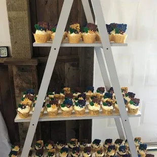 a display of cupcakes
