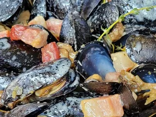 Mussel Bar & Grille - Arlington