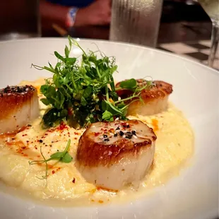 Diver Scallops