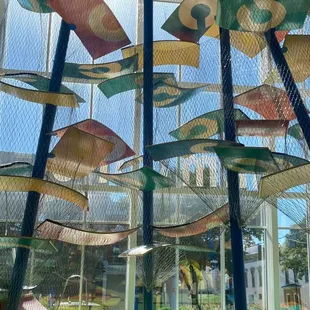 amazing lucky climber