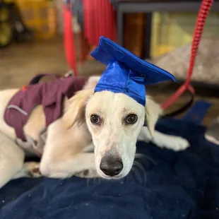 Milly graduating class!