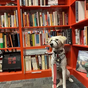 Milly at bookmans