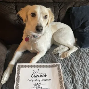 Milly and certificate!