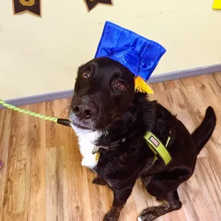 Enzo graduated!