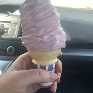 Blueberry cone