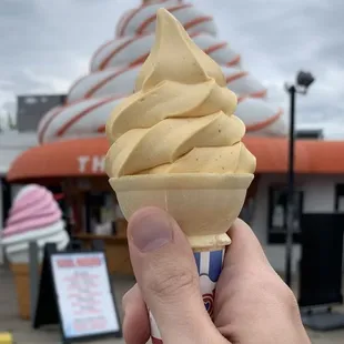 Pumpkin ice cream. Need I say more?!?