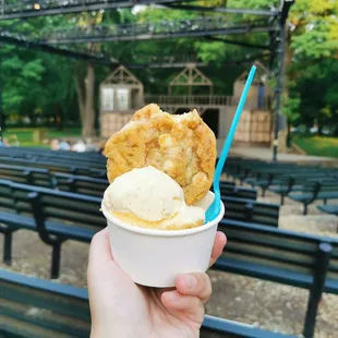 a hand holding a cup of ice cream