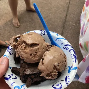 Cabin brownie with chocolate ice cream