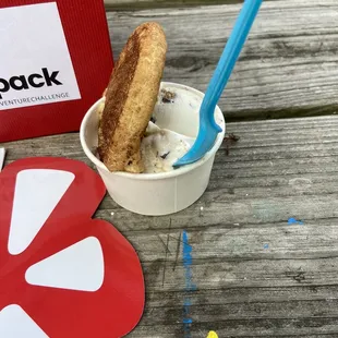 Snickerdoodle cookie and cookie dough ice cream