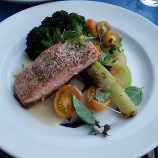 Salmon
