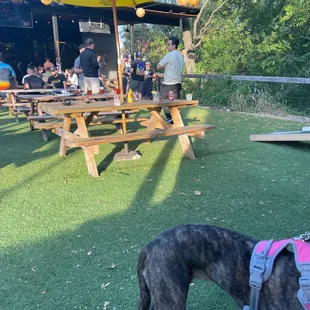 From the Copperhead Bar
