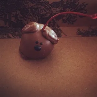 Chocolate Covered Cherry Dog