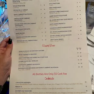 a hand holding a menu