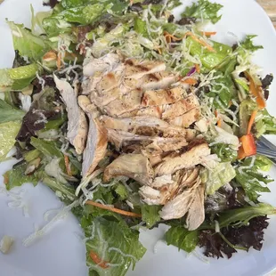 Asian Chicken Salad