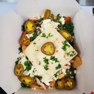 Shawarma Cheese Fries