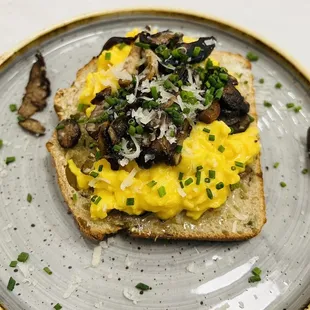 Wild Mushroom Toast