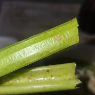 a person holding a piece of celery