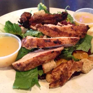 Blackened Chicken CranApple Salad