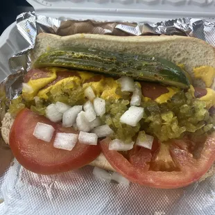 Chicago Dog