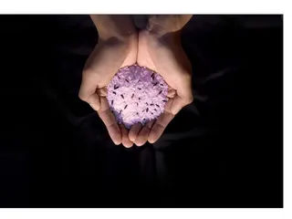 purplericesushi