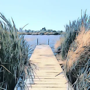 Corteva Wetlands Preserve